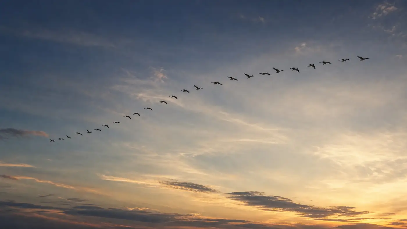 夕空を群れで飛んでいる渡り鳥の題材イメージ