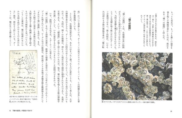 本の本文と挿絵の見開き